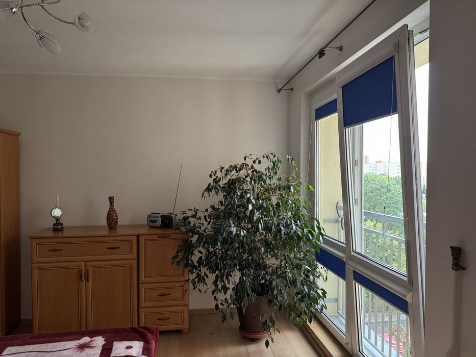 Zdjęcie 5