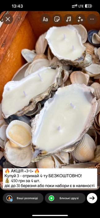 Мушлі устриць для свічок і декору