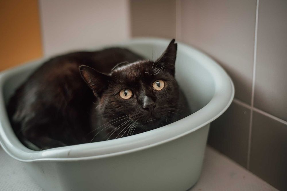 On nie prosi o miłość. On prosi, żeby go nie skrzywdzić. Daj szansę!