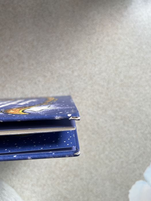 Wieczór gwiazdkowy na placu budowy Sherri Duskey