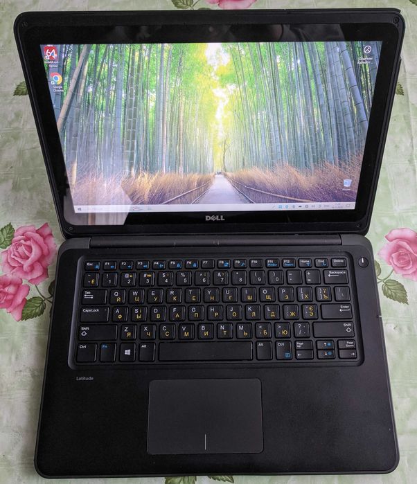 Dell 3380 13.3" /i5-7200U (2.5-3.1 GHz)/8 Gb/500 Gb HDD