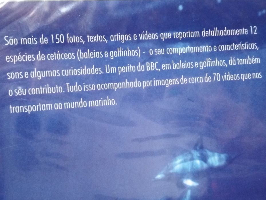Baleias  e Golfinhos dos Açores