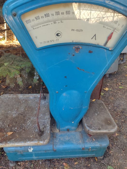 Веси тарелочние на гирях