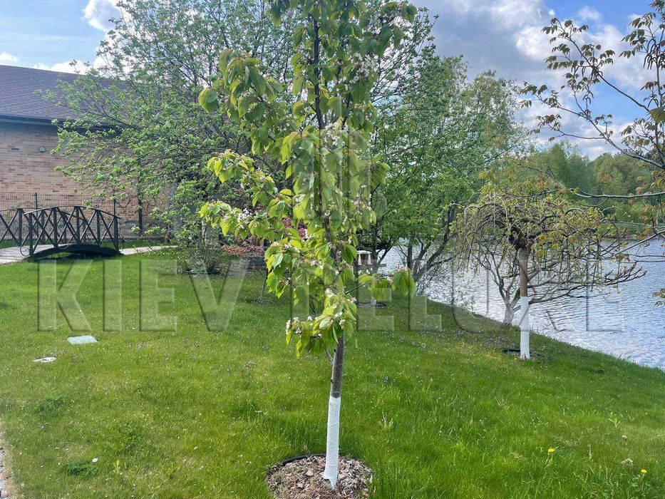 Обуховский район, Элитный Городок Солнечная долина