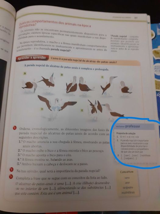 CSI / Ciências sob Investigação - Ciências 5.º ano