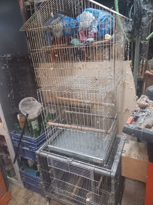 Três gaiolas para desocupar