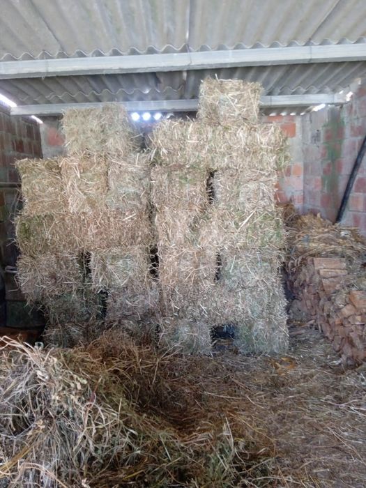 Fardos de palha de boa qualidade