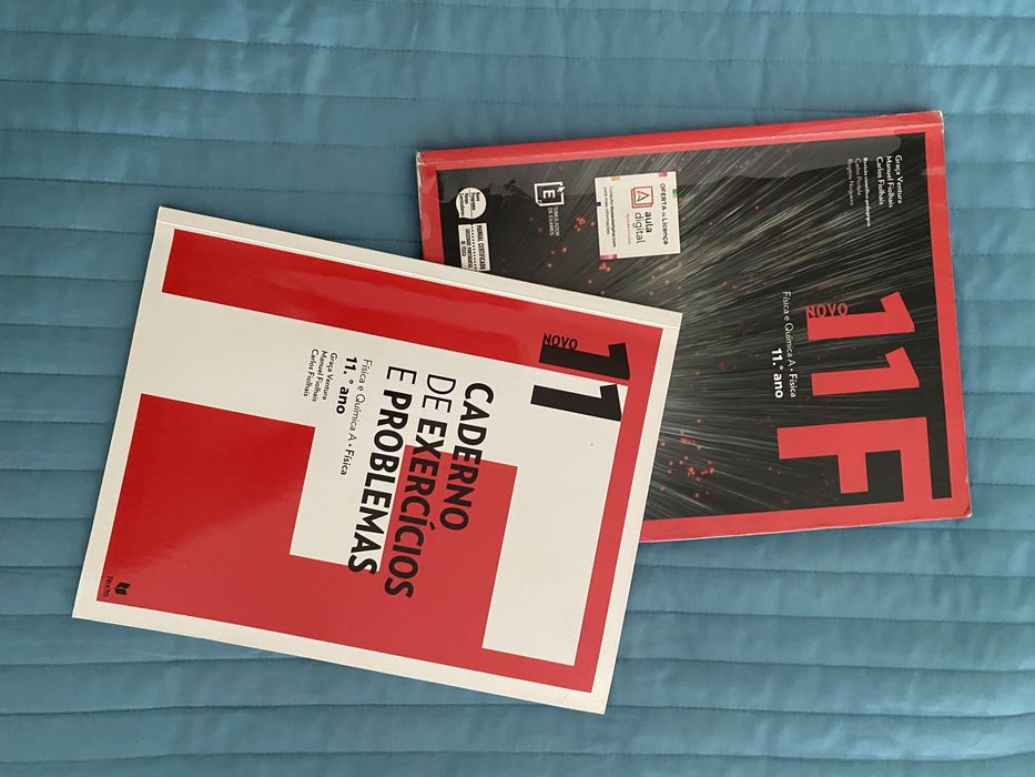 Grade 11 Physics Manual