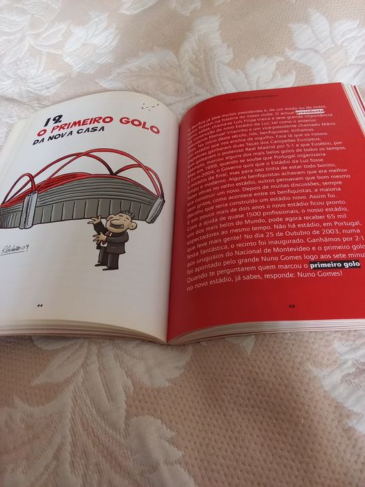 Vendo um lindo livro do Benfica que conta a história do clube