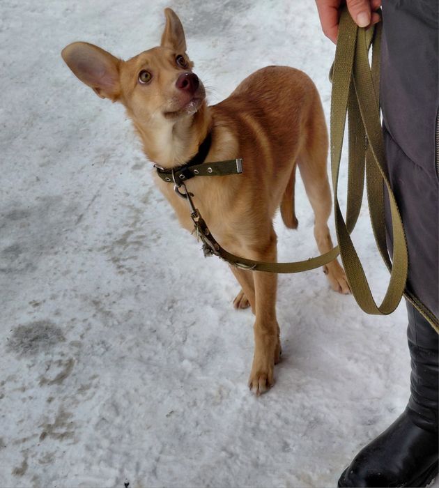 Хлопчик шукає родину!