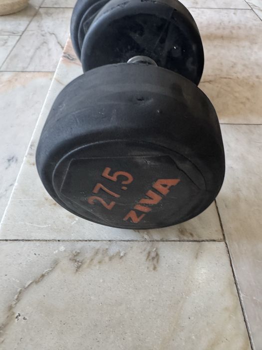 Halter ginásio 27.5kg