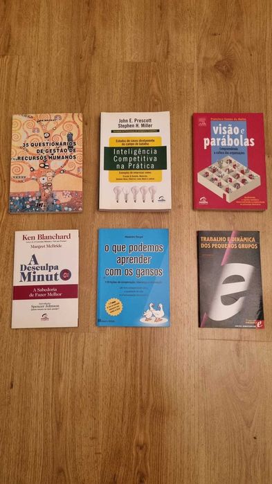 Lote de Livros Técnicos sobre Liderança, Gestão e Recursos Humanos
