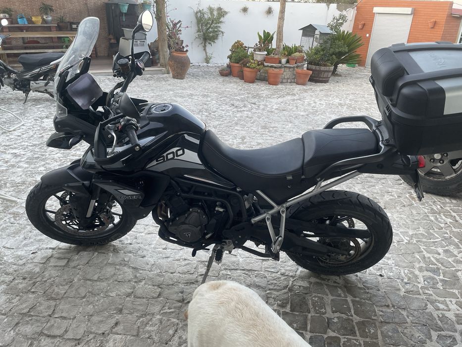 Triumph Tiger 900 GT
