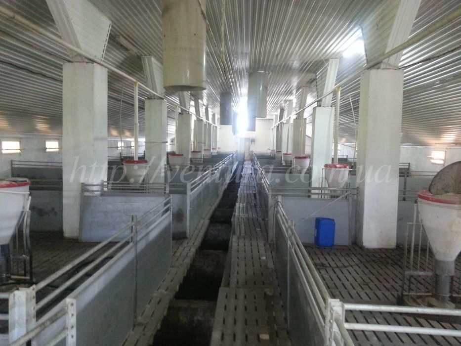 Блок керування мікрокліматом на свинофермах