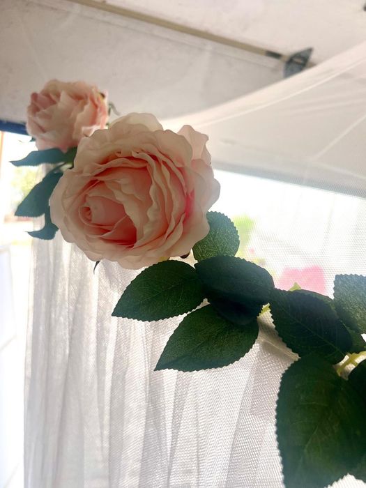 Dorcel com flores