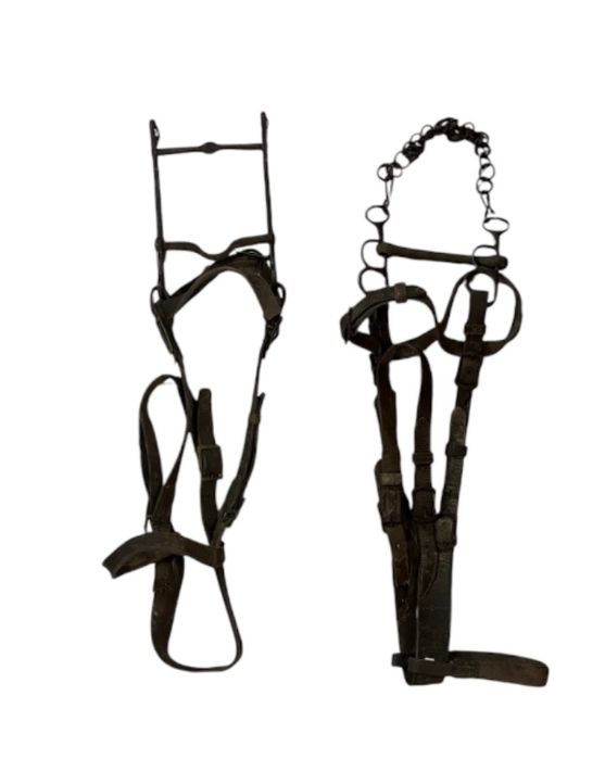 Antigas Cabeçadas para cavalo - decoração