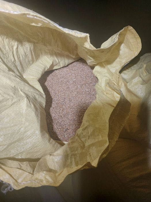 Pszenica ozima kukurydza jęczmień