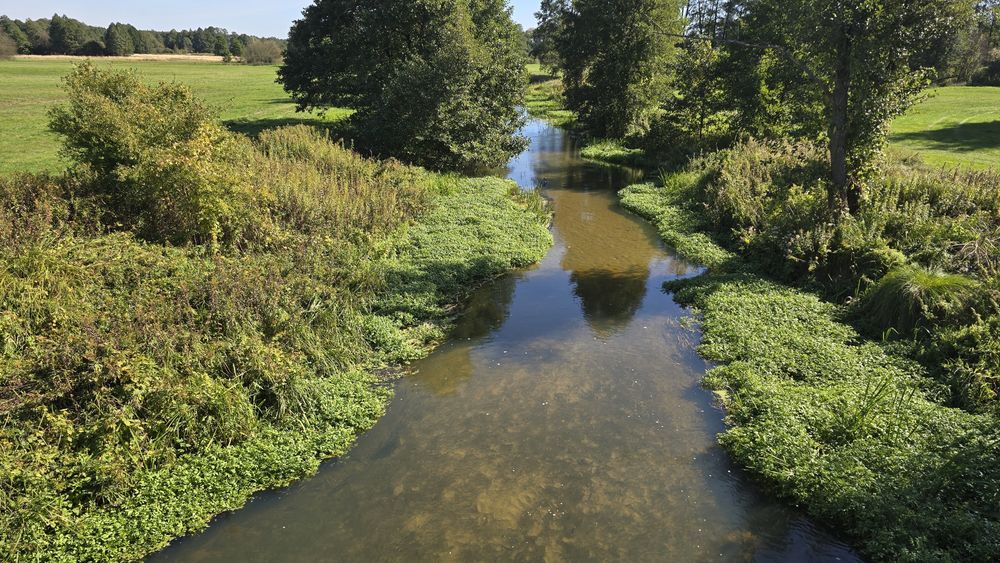 Działka budowlana nad Iłżanką.
