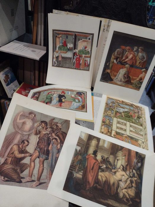 Reproduções 6 unidades Convivium Sanitatis