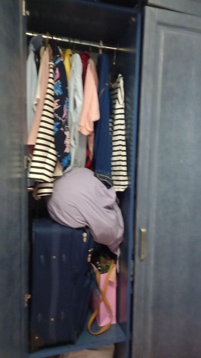 Шкаф Дерево для одежди 290 см