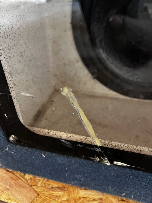 Subwoofer Signat BPS 12