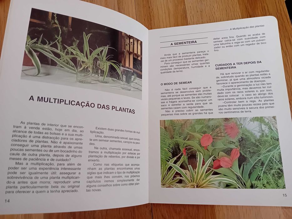 Livro Plantas de Interior – Jardinagem Prática | Pierre Nessmann