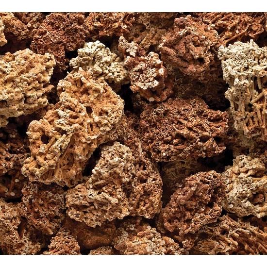 CZERWONY WAPIEŃ Kamień do Akwarium Koralowiec Spaghetti malawi Skała