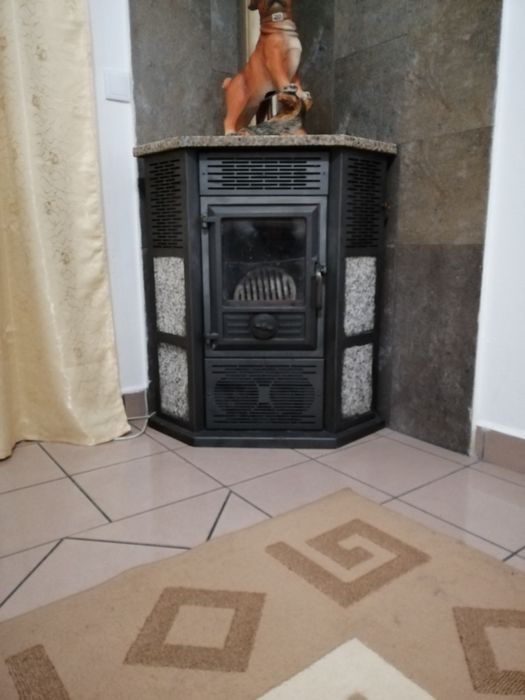 Salamandra solzaima K3