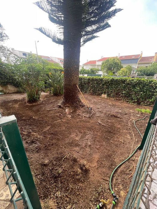 Relva Artificial e Jardinagem, Corte em Altura, Plantação e Regas