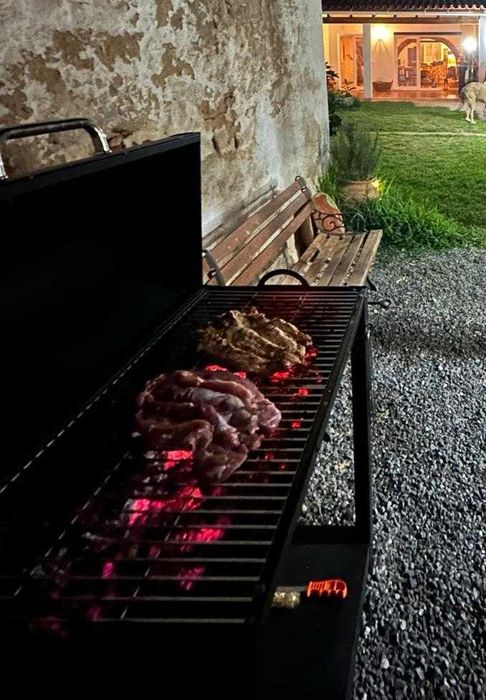 churrasqueira e fumeiro para carvão IMOR com capa