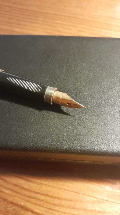 Caneta Parker banho 20y micron