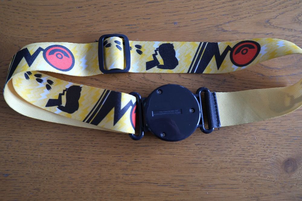 pas pokemon żółty