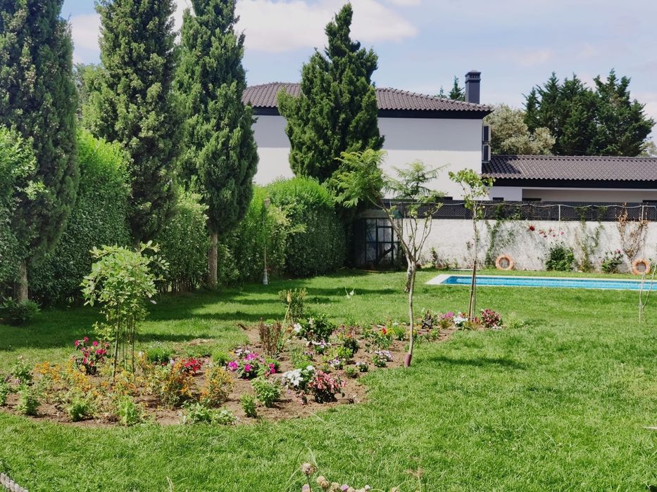 Construção e manutenção de jardim,limpeza de terenos, corte de árvores