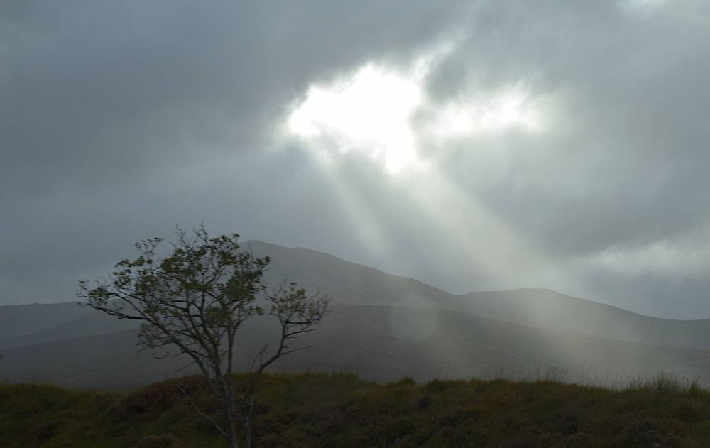 Podróżniczka poszukiwana