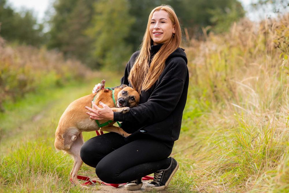 Ulivek: łagodny, spokojny, zapatrzony w człowieka