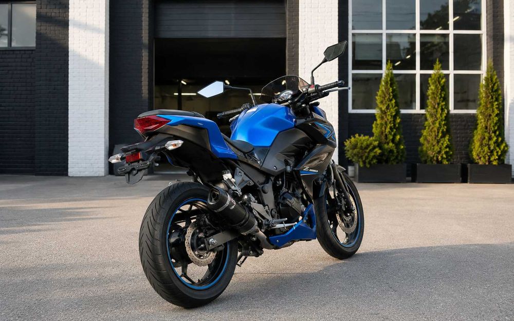 Kawasaki Z250, 2015 рік, ABS