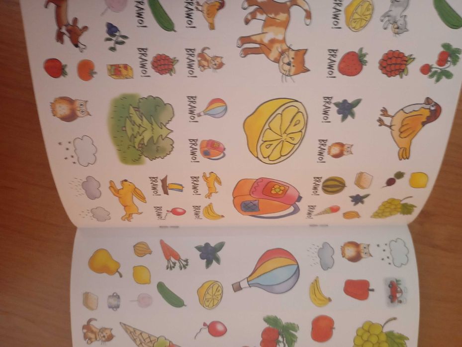 Księga zagadek. Dla przedszkolaka