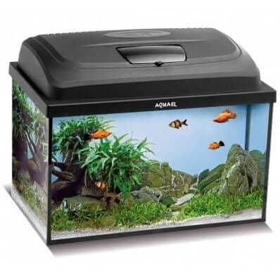 Aquael Classic Box 40 Akwarium proste + pokrywa LED  25L