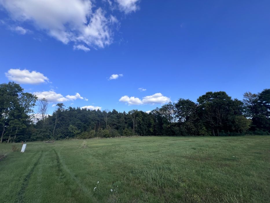 Dzialka przy lesie, obok Trzebnicy