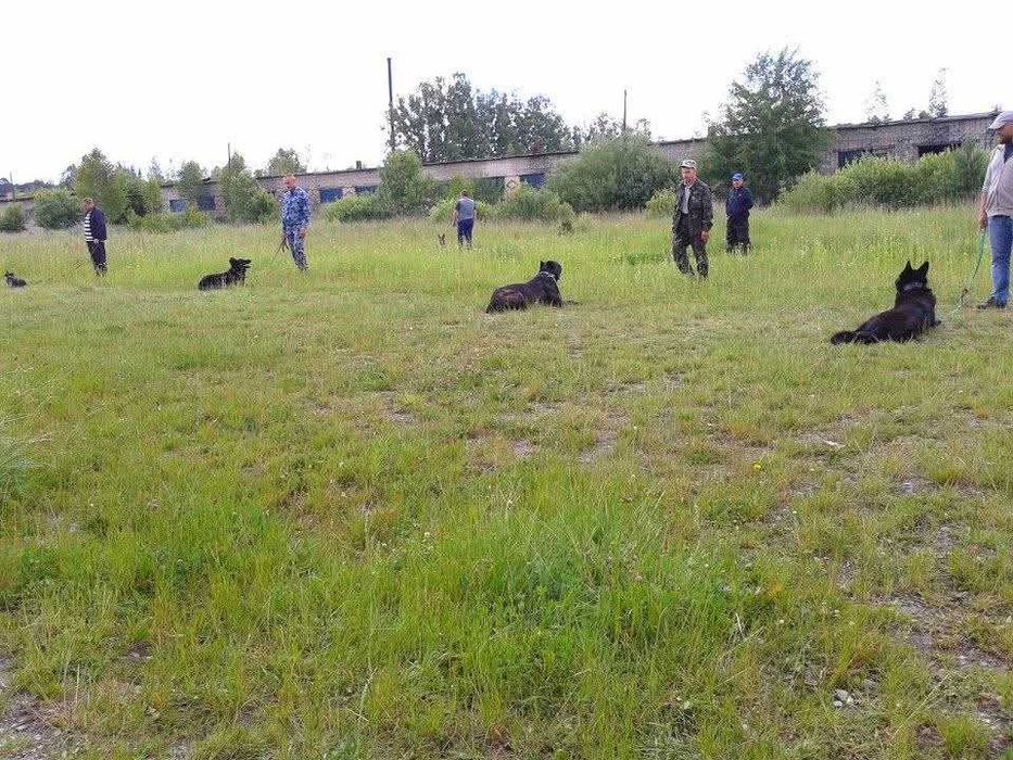 Школа "Berserkr"