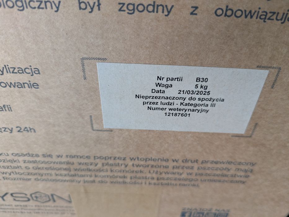 Węza pszczela wielkopolska