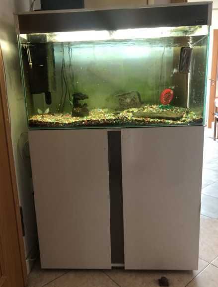 Vendo móvel branco + aquário, com 80 litros de capacidade.