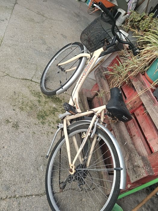 Bicicleta de senhora