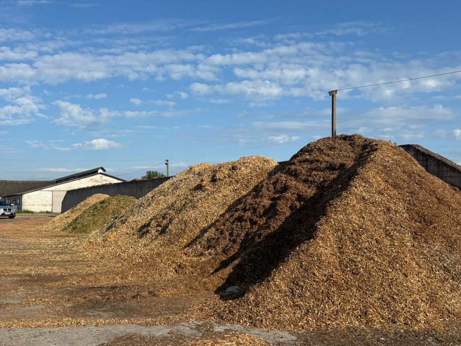 Продам щепу паливна,переважно порода сосна