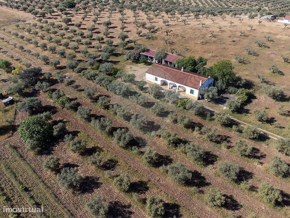 Country Estate for Sale