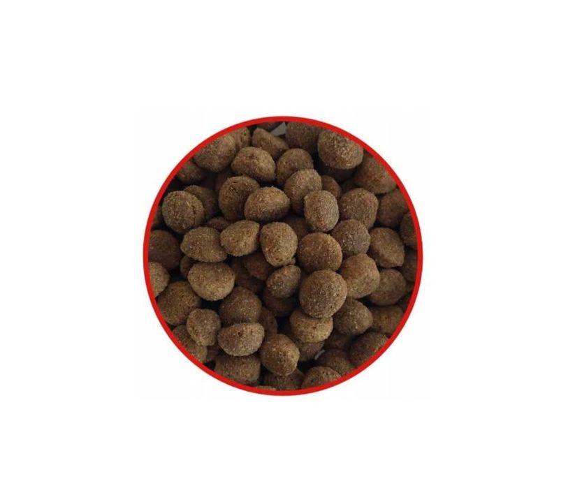 Karma dla psa Tasty Life 12kg z wołowiną