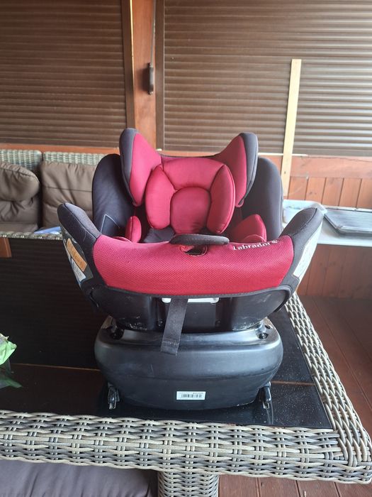 Fotelik BabySafe Labrador
