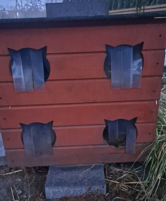 Buda dla kotów-ocieplana.