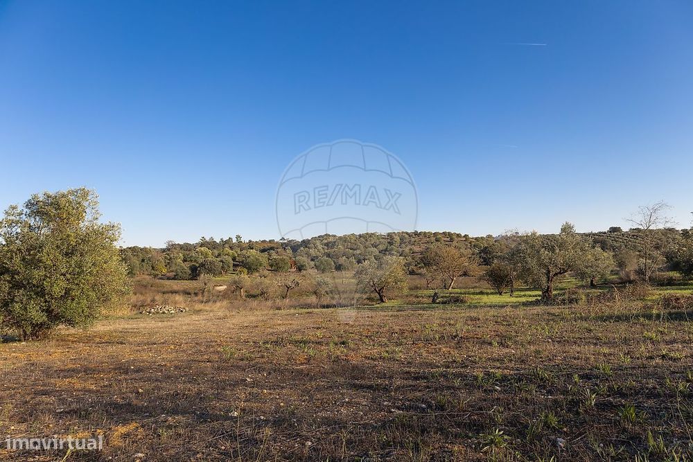 Terreno  para venda