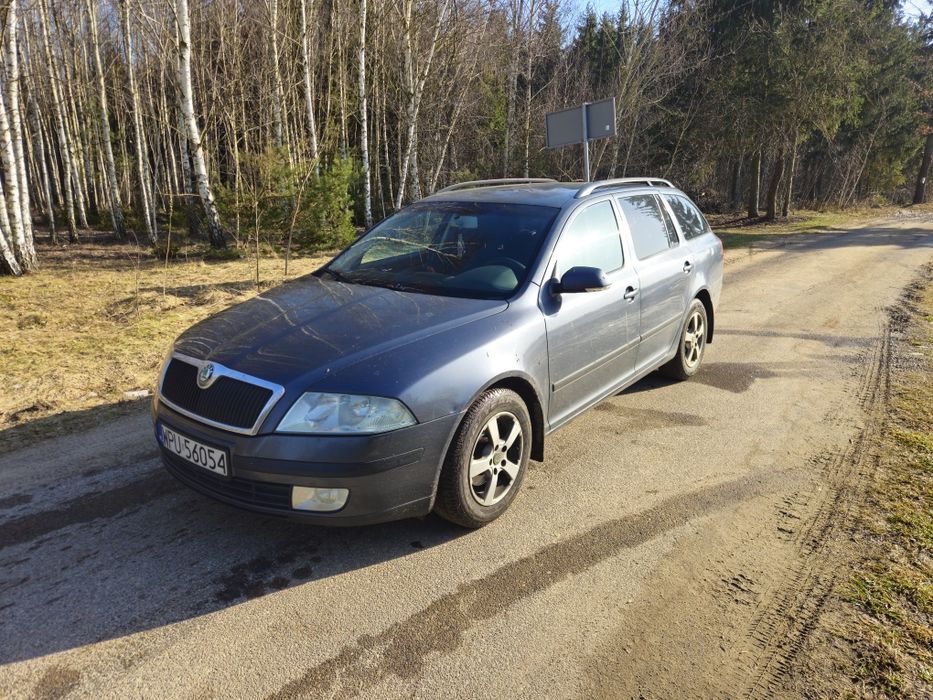 Skoda Octavia ll 1.9 TDI 105 KM